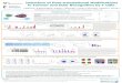 Induction of Post-translational Modifications in Tumour ...€¦ · LC3 normalised for poster B-a c t i n: L C 3 LC3-I LC3-II i ii Control Vim28cit Eno241cit Vim415cit CD4 CD8 Donor