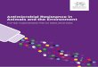Antimicrobial Resistance in Animals and the Environment · 2019-07-02 · 02 Antimicrobial Resistance in Animals and the Environment Contents 03 Ministerial Foreword 04 Executive