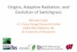 Origins, Adaptive Radiation, and Evolution of …...Origins, Adaptive Radiation, and Evolution of Switchgrass Michael Casler U.S. Dairy Forage Research Center USDA-ARS, Madison, WI