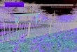 BUDGET GARDEN Fencing - Hande Productshandeproducts.com.au › wp-content › uploads › 2017 › 04 › ... · • Garden Fencing • Boundary Fencing • Dog Fencing NOTE: Our