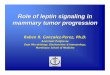 Role of leptin signaling in mammary tumor progressioncancermeetings.org/CHDSummit08/Pres/Monday/Conc2/...Leptin (62.5nM) Basal Lep LPrA2 Sc Leptin (62.5nM) 92 kDa 0 50 100 150 pSTAT3