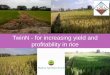 TwinN - for increasing yield and profitability in rice · What is TwinN? TwinN is a breakthrough product that reduces the amount of N fertiliser needed for high yields in rice •