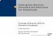 Enterprise-Service Oriented Architecture for Chemicals ... Enterprise-Service Oriented Architecture