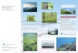 Nature Restoration Projects in Japan - env · Nature Restoration Project*1 Restoration areas should be selected from the perspectives of ecosystem and biodiversity. These are the