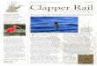 Clapper Rail - Marin Audubon SocietyNewsletter of the Marin Audubon Society. Volume 56, No. 2 October 2013 Clapper Rail THE MARIN AUDUBON SOCIETY OCTOBER 2013 1 IN THIS ISSUE President’s