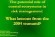 What lessons from the 2004 tsunami? · mangrove ecosystems in Aceh 4. Concluding notes. The 2004 tsunami: ... rich of biodiversity and beautiful !! Precious Mangrove Forests Lacking
