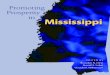 Promoting Prosperity in Mississippi › sites › ... · iii Promoting Prosperity in Mississippi Edited by Brandon N. Cline, Russell S. Sobel, and Claudia R. Williamson TABLE OF CONTENTS