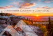 COMMITMENT. Text to go here COMMUNITY. COMPASSION.Text to go here 2019-2022 Mountain Health Network Community Health Needs Assement 000 COMMITMENT.COMMUNITY.COMPASSION. 2019 – 2022
