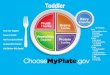 Toddler Daily Serving Sizes - DPHHS€¦ · Let your toddler eat as much or little at meal and snack time and remind them no food will be offered until the next meal or snack time