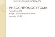 Pheochromocytoma - SUNY Downstate Medical CenterThe incidence of pheochromocytomas among pati對ents who have adrenal incidentalomas is reported to be between 1.5% and 11%.21 A recent