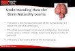 Understanding How the Brain Naturally Learns...Understanding How the Brain Naturally Learns • The brain is the most complex part of the human body. It is about the size of a cantaloupe