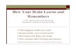 HOW YOUR BRAIN LEARNS - Cabrillo Collegemladdon/math154/hestwood_brain... · What happens inside your brain! better! brain! How emotions affect learning and memory u. Part One (1,
