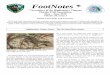FootNoteshighlanders.floridatrail.org/Newsletter Archives... · of central Florida is the Six-lined Racerunner (Aspi-doscelis sexlineatus). Skinks and Fence Lizards are also very