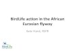 BirdLife action in the African Eurasian flyway · 2015-12-08 · BirdLife action in the African Eurasian flyway . 1. BirdLife African Eurasian flyway strategy 2. Six flyway initiatives