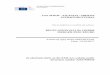 Case M.8536 - ATLANTIA / ABERTIS INFRAESTRUCTURASec.europa.eu/competition/mergers/cases/decisions/m8536_567_3.pdf · InvestCo Italian Holdings ("InvestCo"), also referred to as GIC