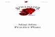 Mini Mite Practice Plans - SportsEngine...Mini Mite Practice Plans 1 Mini Mites ’11-’12 Season 2 1. Introduction / Overview Thank you for helping introduce our Stillwater Area
