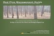 Red Pine Management Guide · 2006-06-05 · Red Pine Management Guide ... as blister rust in white pine that can kill large numbers of trees. Its more common disease problems tend