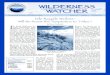 E R N E SS wilderness I watcherwildernesswatch.org/pdf/newsletters/Summer2013.pdf · pdf/Wilderness_Legislation_113th_Congress.pdf Wilderness Watch relies heavily on you, our members,