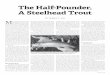 The Half-Pounder, A Steelhead Trout - dennis p lee€¦ · Tactics for Half-Pounders Unlike trout fishing, where success depends more on being able to present an imitation of an insect