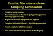 Benthic Macroinvertebrate Sampling - Maryland...Benthic Macroinvertebrate Sampling Certification • Complete spring training • Pass written exam at the end of spring training (new