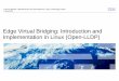 Edge Virtual Bridging: Introduction and Implementation in ... › images › stories › pdf › lceu2012_richter.pdf2 Agenda Virtualization & Bridges/Switches Network Administration