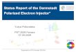 Status Report of the Darmstadt Polarized Electron …web.fe.infn.it/PST2009/body/talks/poltoratska.pdfTagger: Photon scattering QClam spectrometer 2 4 4 High-resolution spectrometer