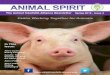 Faiths Working Together for Animals - WordPress.com · 2016-03-16 · 1 The Animal Interfaith Alliance Newsletter Spring 2016 -Issue 4 Faiths Working Together for Animals In This