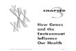 How Genes and the Environment Influence Our Health · How Genes and the Environment Influence Our Health ... will come when you prepare a brochure designed to help a genetic counselor