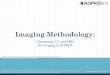 MRC2.CORP.D.00399 Imaging in ADPKD minideck · Imaging Methodology: Ultrasound, CT, and MRI for imaging in ADPKD ... diagnostic criteria Advantages: •Can reliably measure TKV over
