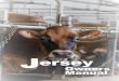 Owners Manual - Jersey Canada … · JERSEY&OWNERS&MANUAL& 5& Canadian Jersey History Jerseys first came to Canada in 1868 to the province of Quebec. The American Jersey Cattle Club