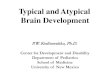 Typical and Atypical Brain DevelopmentNeuroanatomy of Language 60 • Recent developments in neuroimaging have allowed directly probing the neural network subserving language • Neuroimaging