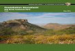 National Park Service History eLibrary - Foundation …npshistory.com/publications/foundation-documents/bibe-fd...Big Bend National Park, the first national park in Texas, is in south