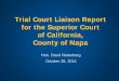 Trial Court Liaison Report for the Superior Court of ... › documents › jc-20141028-itemO-presentation2.pdfOct 28, 2014  · for the Superior Court of California, County of Napa
