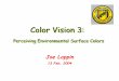 Color Vision 3 - Vanderbilt University · 2004-02-14 · 2 Important Color Vision Capabilities Surface colors: A principal function of color vision is for perceiving object materials