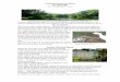 Waikanae Estuary Newsletter No 5 July 2007 www ... › wp-content › uploads › 2011 › 12 › ...Waikanae Estuary Newsletter No 5 July 2007 Waikanae river, just upstream from the