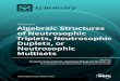 Volume 1 Algebraic Structures of Neutrosophic Triplets ...fs.unm.edu/NeutrosophicTripletsDupletsMultisets1-Symmetry.pdf · Algebraic Structures of Neutrosophic Triplets, Neutrosophic