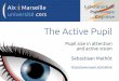 The Active Pupil - Amazon S3 · The active pupil The PLR is traditionally considered a reflex Recent studies show cognitive influences – Brightness illusions and pictures of the