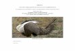 DRAFT Greater Sage-grouse (Centrocercus urophasianus › oregonfwo › ToolsForLandowners...practices to sage-grouse and to maintain and support livestock grazing practices that are