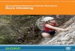 Queensland Adventure Activity Standards Rock Climbing€¦ · why the Queensland Adventure Activity Standards (AAS) were developed. It also provides specific information to assist