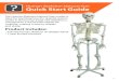 Human Skeleton Natural Size Quick Start Guide 2020-03-13آ  The Human Skeleton Natural Size model is
