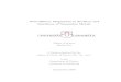 Noncollinear Magnetism in Surfaces and Interfaces …...Noncollinear Magnetism in Surfaces and Interfaces of Transition Metals Master of Science Huahai Tan A thesis submitted for the