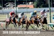 2019 CORPORATE SPONSORSHIP - Hastings Racecourse › wp-content › uploads › 2019 › … · 2019 CORPORATE SPONSORSHIP. OUR BUSINESS CAN GROW YOUR BUSINESS Whether it’s naming