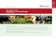 Organic Dairy Farming - Teagasc · Organic Dairy Farming by Dan Clavin Introduction With ca. 50 operators, organic dairying is a small but growing sector within the Irish dairy industry