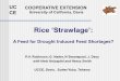 UCCE Rice Straw Research: A long term research project › sites › UCCE_LR › files › 195902.pdfRice straw can be prepared to be ‘mixer ready’ • ‘Double chop’ dry rice