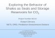 Exploring the Behavior of Shales as Seals and Storage Reservoirs … · 2014-09-11 · Exploring the Behavior of Shales as Seals and Storage Reservoirs for CO 2 Project Number 90210