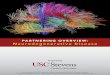 USC Stevens Partnering Overview: Neurodegenerative Disease › files › 2017 › 06 › USC-Stevens... · 2017-06-19 · Neurodegenerative Disease. ABOUT US ... Parkinson’s and