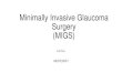 Minimally Invasive Glaucoma Surgery (MIGS)...References • Ansari E, An Update on Implants for Minimally Invasive Glaucoma Surgery (MIGS). Ophthalmol Ther. 2017 Jul 20. doi: 10.1007/s40123-017-0098-2