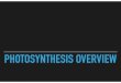 day24 photosynthesis overview - Weebly · OVERVIEW OF PHOTOSYNTHESIS PAGE 37 (CORNELL NOTES TITLE) PAGE 37 ENERGY ... day24_photosynthesis overview Author: WAI Created Date: 9/23/2018