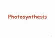 Photosynthesis - Warren County Public Schools › userfiles › 2623 › Classes... · Light Independent Overview • Calvin Cycle occurs in the Stroma – ATP and NADPH are used