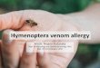 Hymenoptera venom allergy · • Causal therapy of Hymenoptera allergy • Podstatou alergenové imunoterapie je podávání zvyšujících se dávek přesně definovaného alergenu,